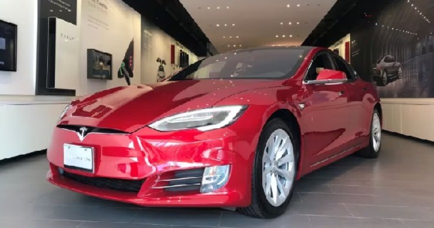Tesla Stock Plummets as CEO Elon Musk Warns of Slower Growth