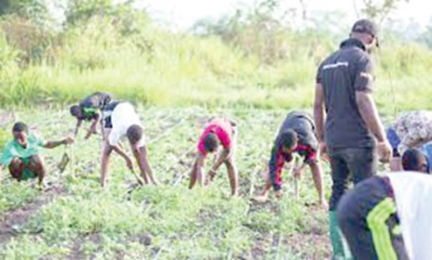 Redefining Agricultural Education for Sustainable Development and Food Security