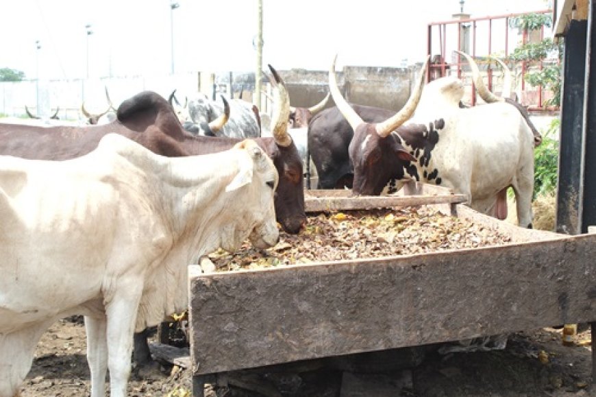 High Prices of Livestock Dampen Eid-ul-Fitr Celebrations