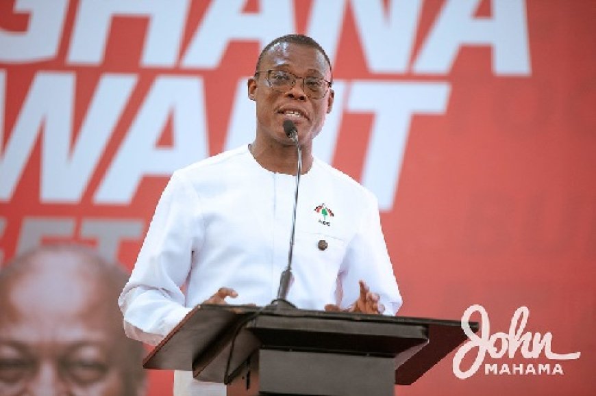 General Secretary of NDC, Fifi Kwetey's speech on limited voter registration