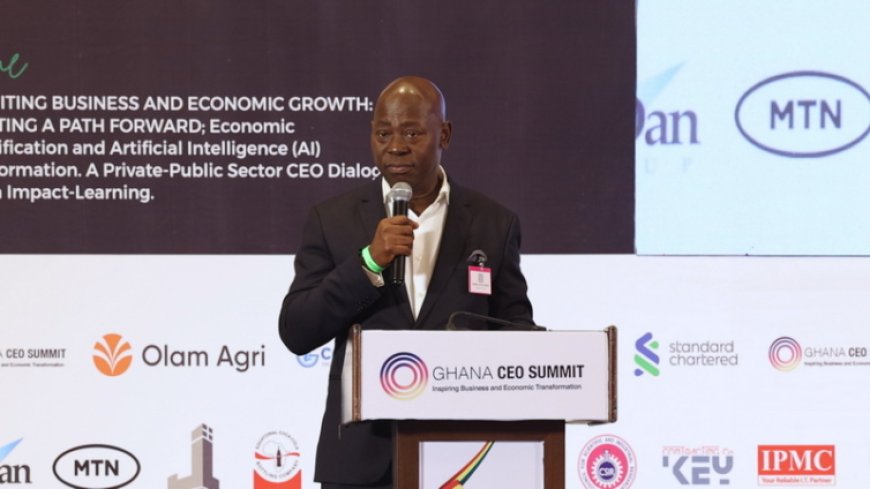 CEO of Margins ID Group Advocates for Ethical AI Framework in Ghana