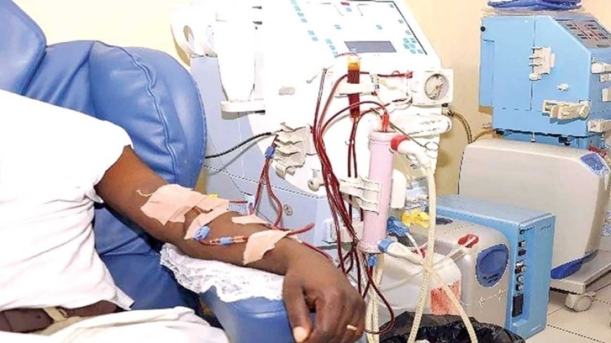 Ghana Kidney Association Applauds Government's Temporary Dialysis Support