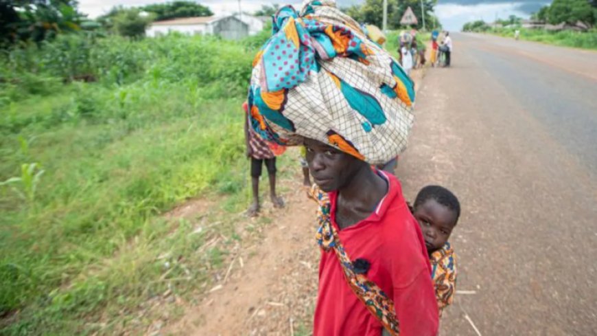 Civilians Flee as Jihadists Seize Town in Northern Mozambique