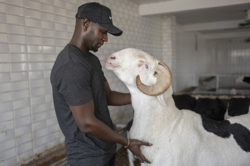 Nigerian Muslims Struggle to Afford Eid Sacrifices Amid Economic Crisis