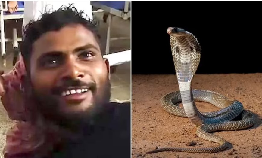 Man Bites Snake to Death After Being Attacked in Sleep